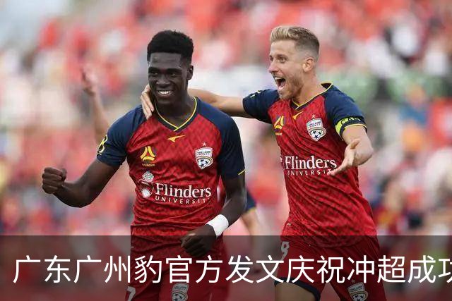 广东广州豹官方发文庆祝冲超成功：中超，广州来了！