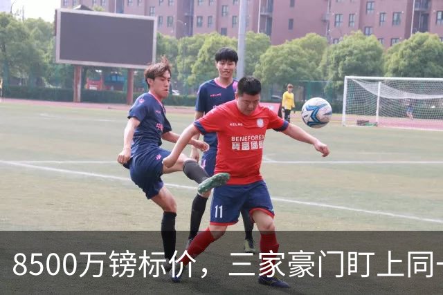 8500万镑标价，三家豪门盯上同一个人